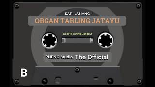 ORGAN TARLING JATAYU || SAPI LANANG