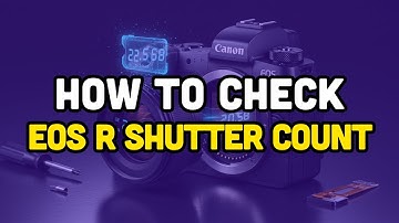 How to check EOS R shutter count?