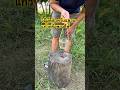 วิธีมัดเชือกสำหรับแขวนหรือหิ้ว #recycle #วิธีผูกเชือก#tiearope #goodvibes #goodidea #good#video