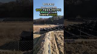 (매물번호14258) 4700만원 금산부동산 1783㎡(539) 금산땅 금산토지매매매물 시골땅 촌땅 소액땅 급매 전원주택지 주말농장 집터 대전토지 대전부동산 청주땅 옥천땅 보은땅
