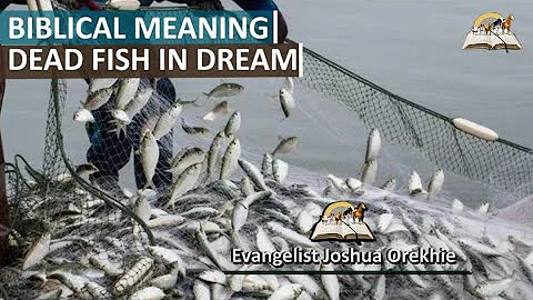 Biblical Meaning of Dead Fish in Dreams - Symbolism and Interpretation
