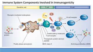 Model Informed Drug Development Approaches for Immunogenicity Assessments Workshop