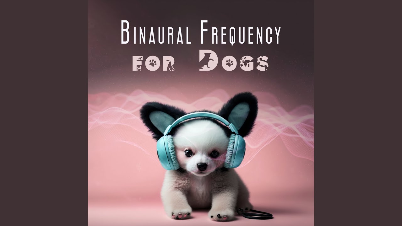 Pet Health and Happiness