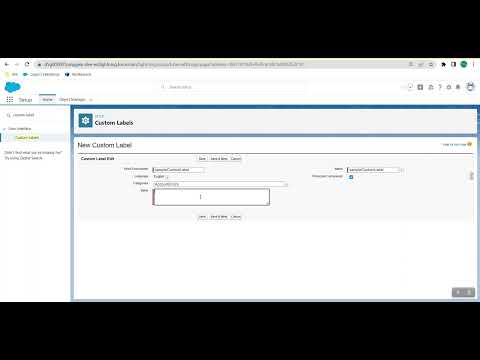 Custom Label #inSalesforce