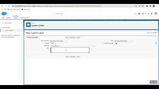 Custom Label #inSalesforce