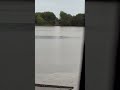 🤯carp conditions don’t get any better than this #fishing #carp #fish #carpfishing #nash #weather