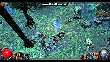 Immortal Plummeting Ursa bug - Path of Exile 07/26/2015