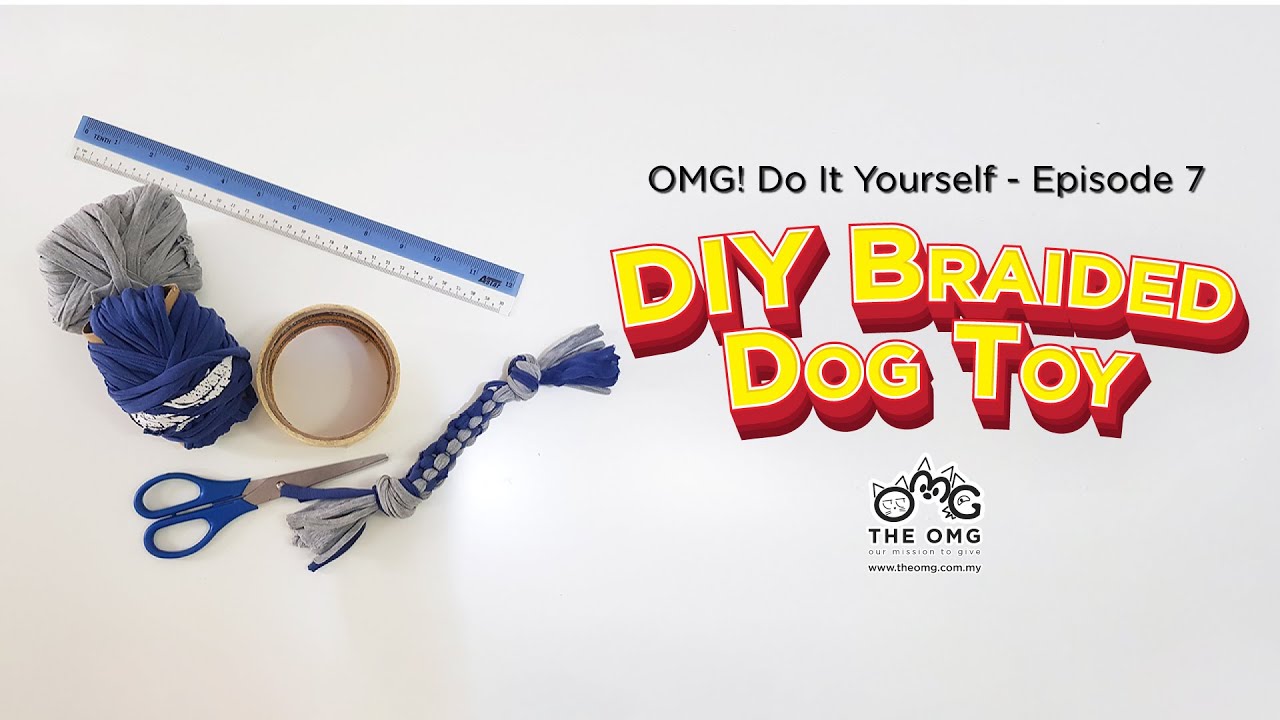 DIY Braided Dog Toy | OMG! Do It Yourself