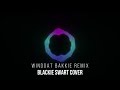 Windgat Bakkie Remix