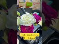 #music #art #food #viral #tiktok #money #ai #love #bts #duet #fameapp #love #wedding #humor #lol #fy