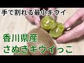 香川県のおすすめ果物　さぬきキウイっこ