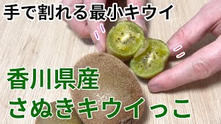 香川県のおすすめ果物　さぬきキウイっこ