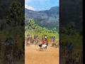 #jallikattu #tamilsong #tamil #song #bull #eruthukattulivetoday #shortmusic #cow
