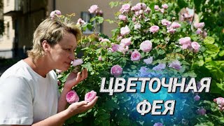 Кто в ответе за красоту дворов? || Цветочное настроение Минска || Минчанин года - 2024