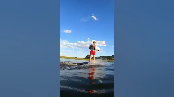 Surfin USA  #shorts