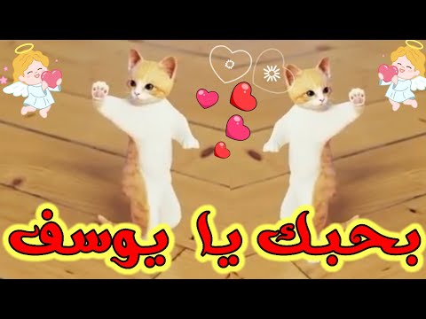 اغنية باسم يوسف بحبك يا يوسف اغنية يوسف السعودية الكويت ابوظبي تركيا العراق البحرين الجزائر جده دبي