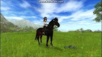 star stable online music video Dangerous woman