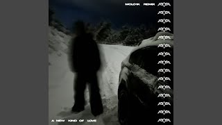 A New Kind Of Love molo1k Remix