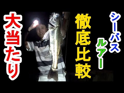 初心者必見 鏑川 夏のスモールバス釣り方紹介 メチャ簡単 釣りチャンネル つりうぇいぶ 釣り アウトドア 簡単ルアー ナイフ自作 パソコン造形 他