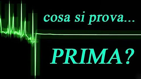 Che cosa fa il camaleonte?