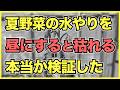 夏野菜の水やりを昼にすると枯れる説は本当か検証してみた【3つの実験】