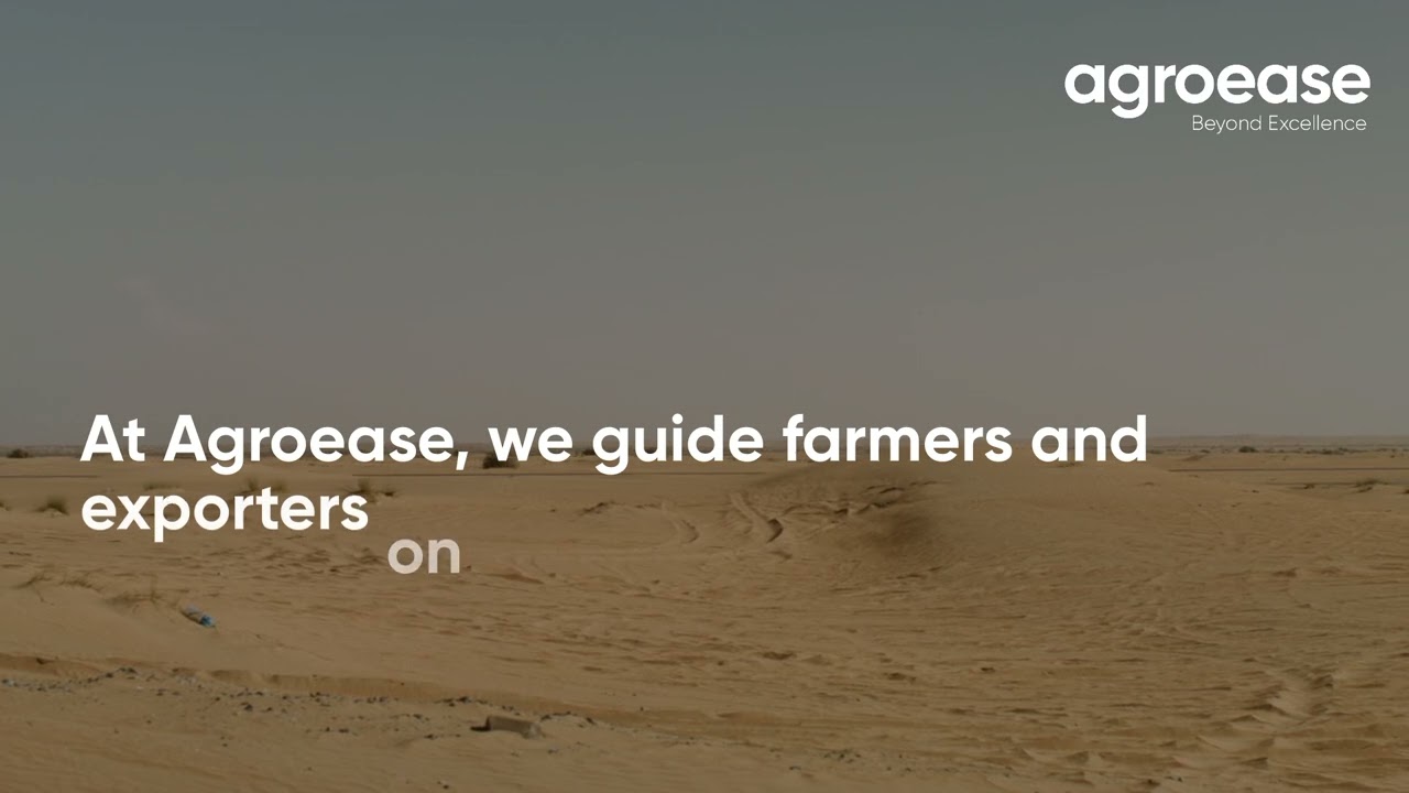 THE EFFECT OF DRY WEATHER ON CROP QUALITY