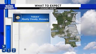 Mostly cloudy with a few showers possible