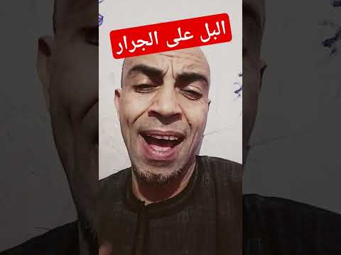 الحبل على الجرار كوكب المشاهير