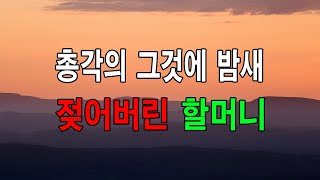 (사이다 사연) 총각의 그것에 밤새 젖어버린 할머니... 낭만캐스터/사연라디오