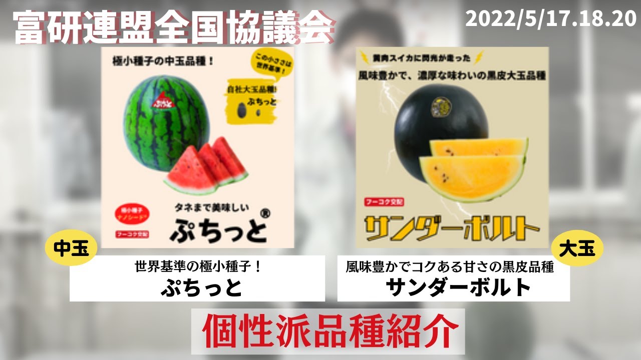 世界基準の極小タネ「ぷちっと」＆濃厚な味わいの 黒皮黄肉大玉品種