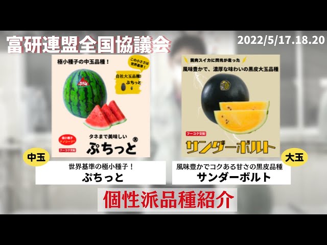 世界基準の極小タネ「ぷちっと」＆濃厚な味わいの 黒皮黄肉大玉