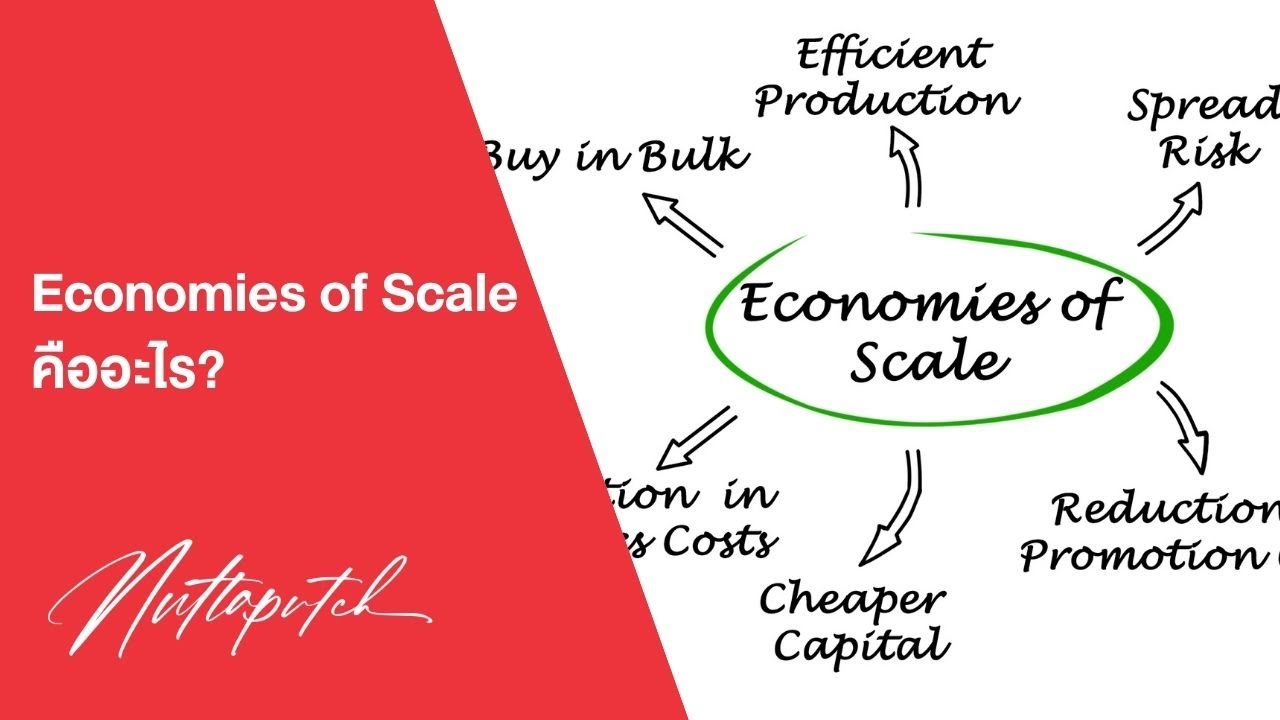 Economies of Scale คืออะไร?