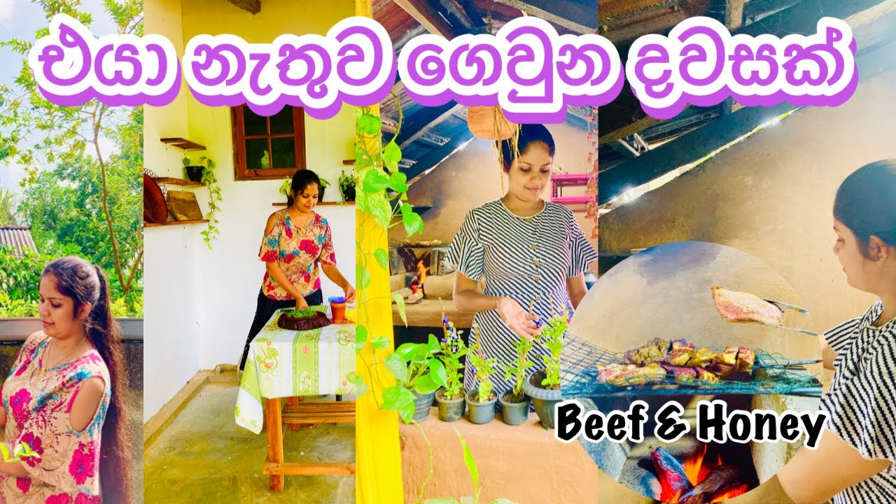 කාලෙකින් අම්මලාගෙ ගෙදර ගෙවුන දවසක් | Day vlog | My diary