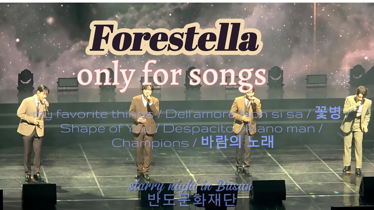 251025 Forestella 노래 모음 (출퇴근길에 들으려고 노래만 편집해서 모았어요) in 반도 Starry Night #포레스텔라 #forestella #노래모음