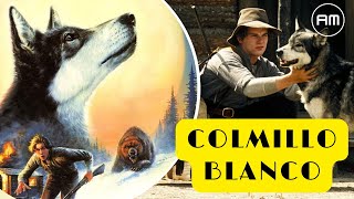 Una Amistad Sin Igual Entre Un Perro Lobo Y Un Humano Colmillo Blanco 1991 Acortando Minutos
