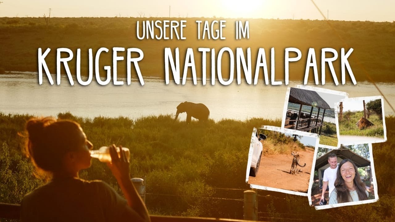 Unsere Tage im Kruger Nationalpark 🥹🦒 (Self Drive Safari Tipps) • 
