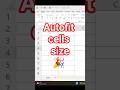 📊 Quickly Autofit Excel Cells! Adjust Rows & Columns Instantly! #ExcelTips#shorts