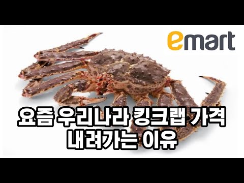 요즘 우리나라 킹크랩 가격이 내려가는 이유 - 이마트 반값 킹크랩 등장