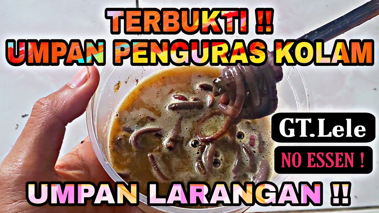 Самый эффективный рецепт ожерелья из червей для галатамы из сома