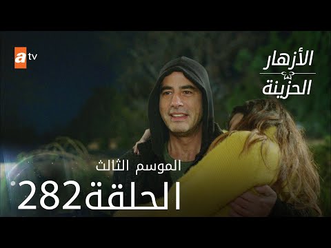 مسلسل الأزهار الحزينة الحلقة 282 الموسم الثالث 
