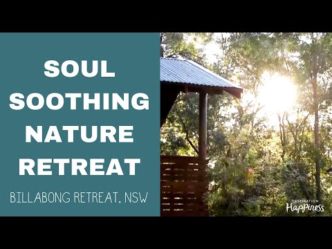 Videó: Beach Retreat Ausztráliában a natív Eucalypti között