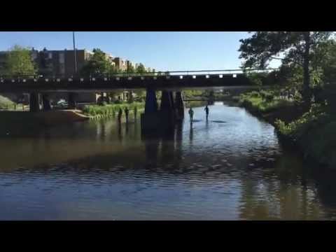 FOKN River Piss Take