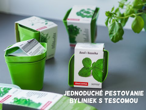 Video: Tipy na pestovanie byliniek paliny