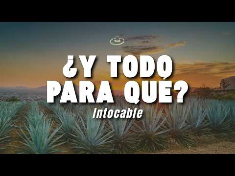 Intocable - ¿Y Todo Para Qué? (Letra/Lyrics)