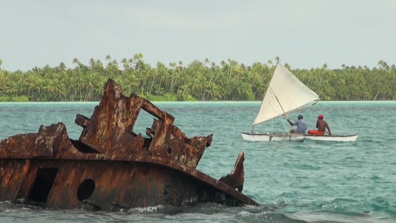 Bruno, le Robinson de Fanning