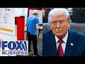 Mollie Hemingway: Efforts have been made to make elections more complicated