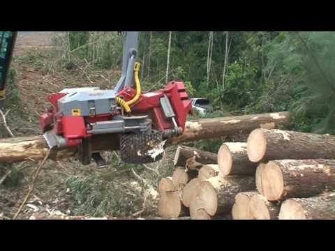 Video: Tømmer 150x150x6000 Mm: Vekt Av Tømmer Av Naturlig Fuktighet Og Tørt, Mengde I En Terning, Høvlet Furu Og Kantet Tømmer, Andre Typer Og Volum