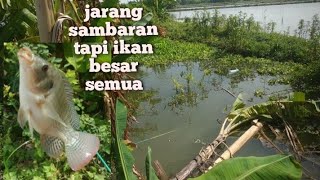 Setelah pindah lokasi akhirnya nemu spot mancing yang potensial