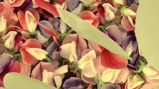 Как установить прикольные 3d обои screenshot 3