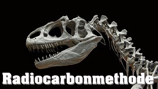 Datierung Von Fossilien, Radiocarbonmethode